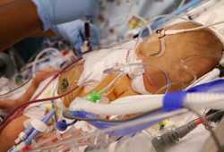 We specialize in caring for critically ill infants. We specialize in caring for critically ill infants.